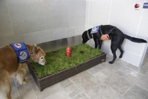 104519352-c9ae9b3e-8aa7-4ca2-95f4-ab1be1a75ab3