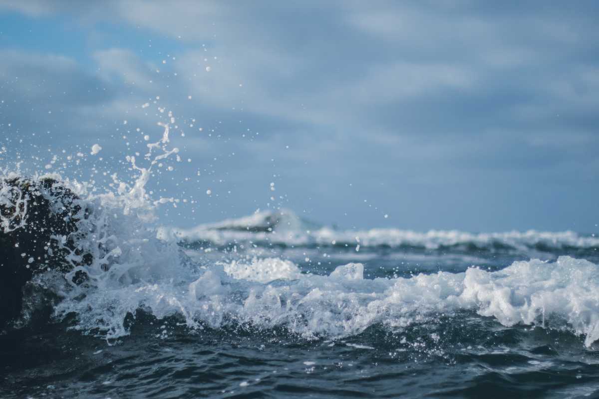 analisi anelli mar di sardegna