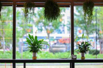 tende le nuove tendenze per abbellire le finestre